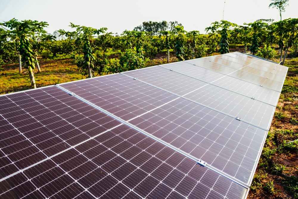 découvrez comment les agri photovoltaïques durables révolutionnent l'agriculture en alliant production d'énergie solaire et pratiques agricoles responsables. explorez les avantages écologiques et économiques de cette innovation pour un avenir plus vert.