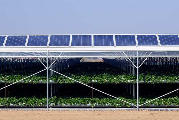 découvrez comment l'agriculture de précision révolutionne la production agricole tout en intégrant des hangars photovoltaïques pour une énergie durable. optimisez vos récoltes et réduisez votre empreinte carbone grâce à ces innovations performantes.