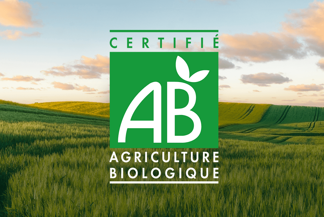 découvrez comment l'agriculture écologique contribue à la santé de notre planète et de ses habitants. explorez les pratiques durables qui préservent l'environnement tout en améliorant la qualité de nos aliments. adoptez un mode de vie sain grâce à des choix agricoles responsables.