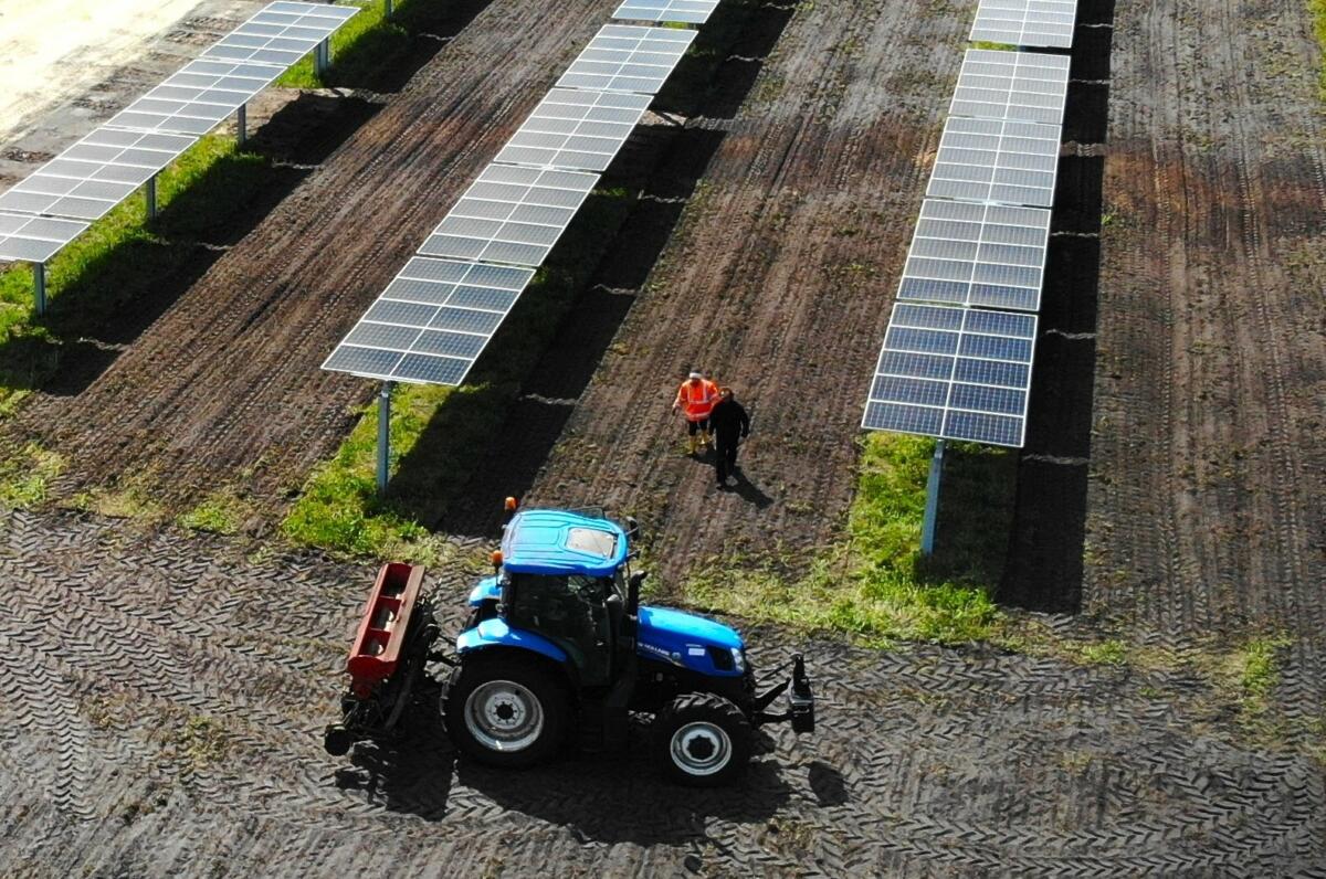 découvrez comment l'agriculture et l'énergie solaire s'unissent pour créer des pratiques durables. explorez les innovations qui permettent d'optimiser la production agricole tout en profitant des bienfaits de l'énergie renouvelable, contribuant ainsi à un avenir plus vert.