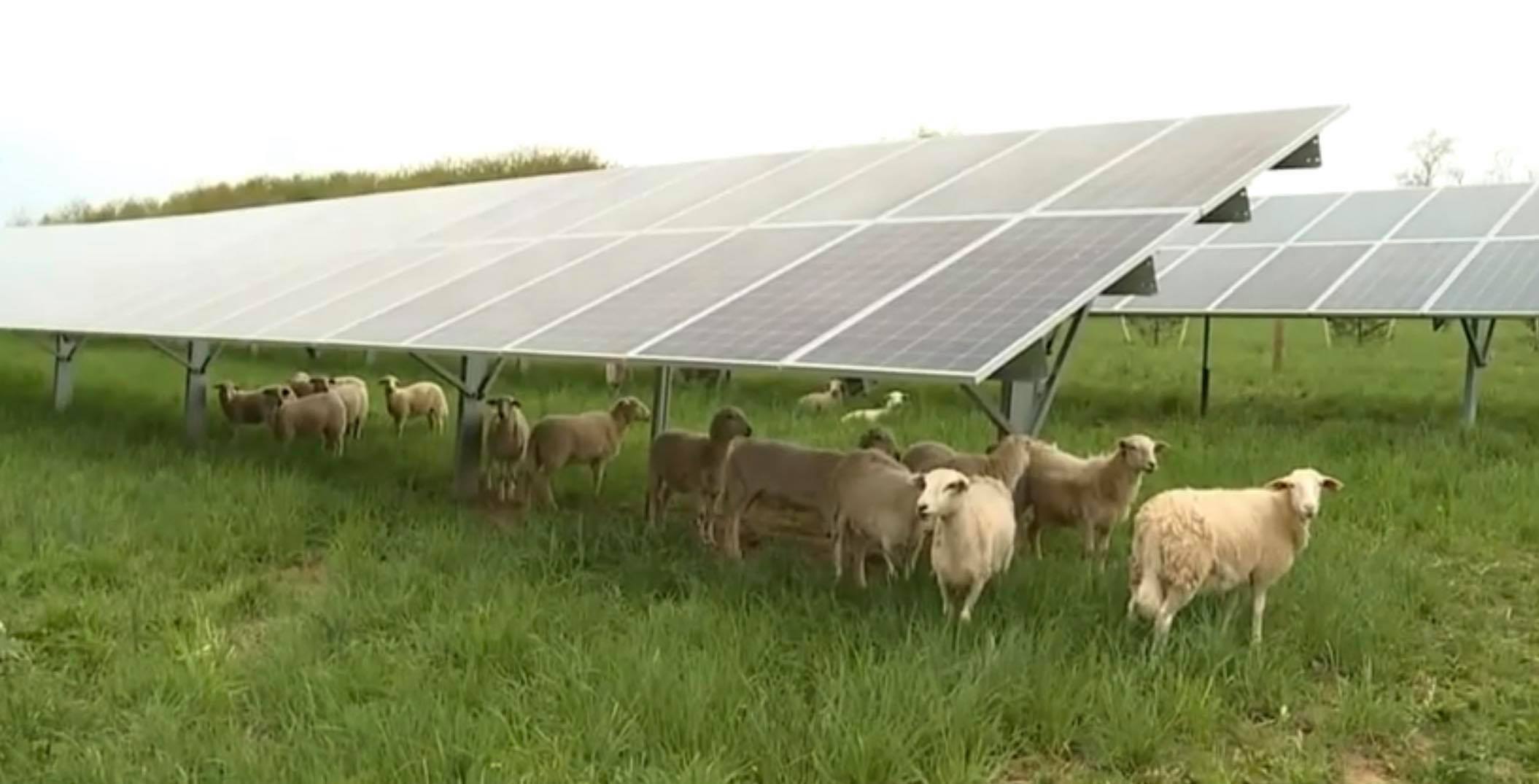 découvrez l'agrivoltaïsme, une solution innovante alliant agriculture et production d'énergie solaire. optimisez vos terres tout en préservant l'environnement grâce à cette méthode durable qui favorise à la fois la sécurité alimentaire et la transition énergétique.