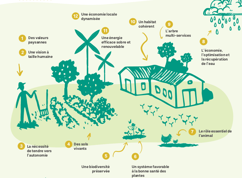 découvrez comment l'agroécologie contribue à la lutte contre le changement climatique en favorisant des pratiques agricoles durables et respectueuses de l'environnement. explorez les synergies entre l'agriculture, la biodiversité et la préservation des ressources naturelles.