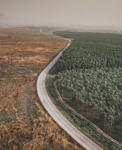 découvrez comment un avenir sans déforestation est possible grâce à des initiatives durables et respectueuses de l'environnement. explorez des solutions innovantes pour préserver nos forêts et promouvoir un développement écologique.
