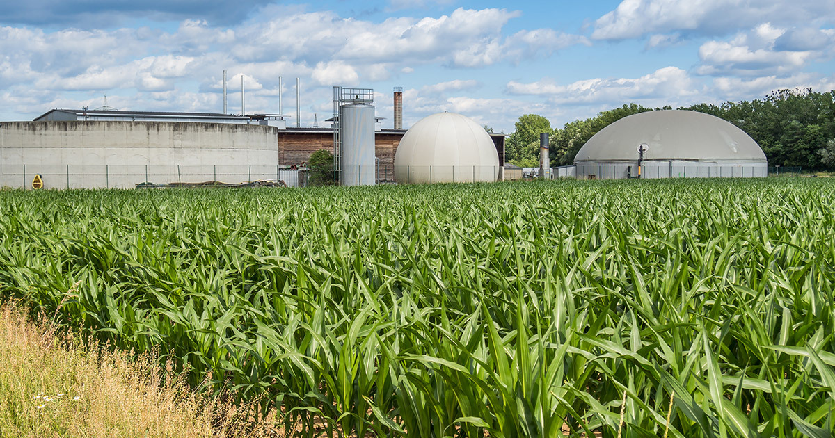 découvrez le monde des bioénergies, des sources d'énergie renouvelables et durables provenant de matières organiques. apprenez comment elles contribuent à la transition énergétique, réduisent les émissions de co2 et soutiennent le développement durable.