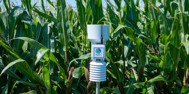 découvrez les capteurs agricoles, des technologies innovantes qui révolutionnent l'agriculture en optimisant les rendements, en surveillant la santé des cultures et en améliorant la gestion des ressources. informez-vous sur leur fonctionnement et leur impact sur l'agriculture durable.