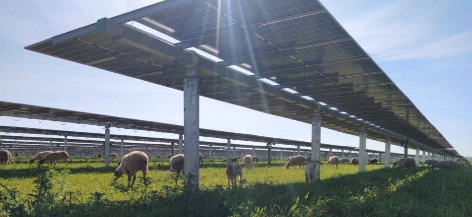 découvrez comment la collaboration entre agriculteurs et le secteur photovoltaïque transforme l'agriculture durable. explorez les bénéfices d'une alliance innovante pour une production d'énergie verte tout en préservant les terres agricoles.
