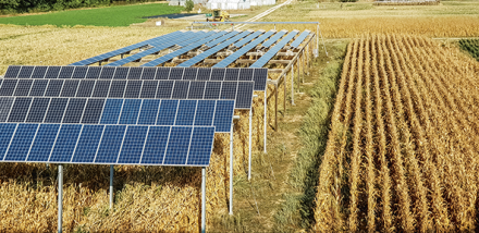 découvrez comment la collaboration entre agriculteurs et secteurs photovoltaïques transforme l'agriculture durable. optimisez vos terres tout en produisant de l'énergie renouvelable.