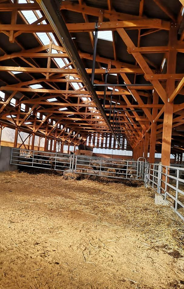 découvrez nos services de construction dédiés aux bâtiments agricoles. nous proposons des solutions sur mesure pour répondre aux besoins spécifiques des exploitations agricoles, alliant durabilité et fonctionnalité.