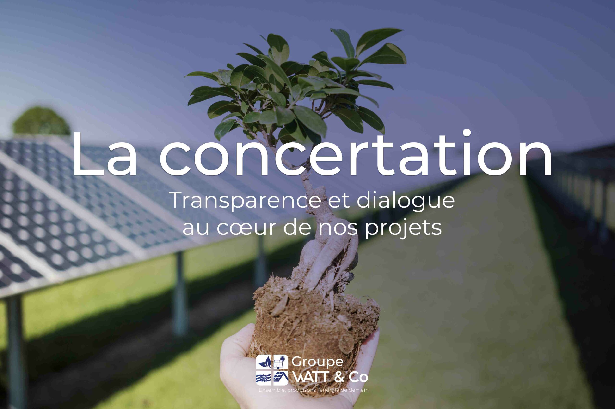 découvrez comment les hangars photovoltaïques contribuent à la croissance durable en offrant des solutions innovantes pour la production d'énergie renouvelable tout en optimisant l'espace agricole et industriel.