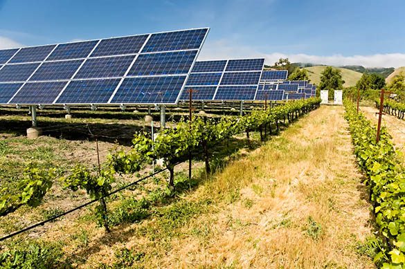 découvrez comment la demande d'énergie solaire transforme l'agriculture. optimisez vos pratiques agricoles grâce à des solutions énergétiques durables et rentables, tout en réduisant votre empreinte carbone. informez-vous sur les avantages de l'énergie solaire pour le secteur agricole.