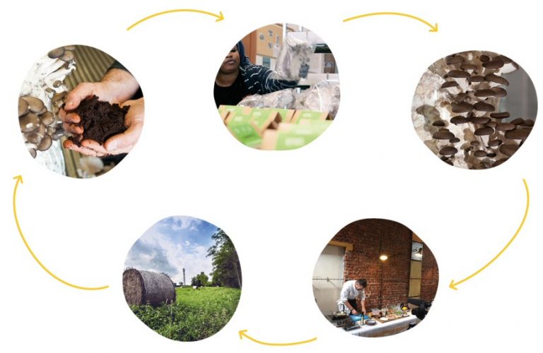 découvrez comment la durabilité et l'économie circulaire transforment notre approche des ressources et de la consommation. apprenez à intégrer ces principes dans votre quotidien pour un avenir plus vert et responsable.