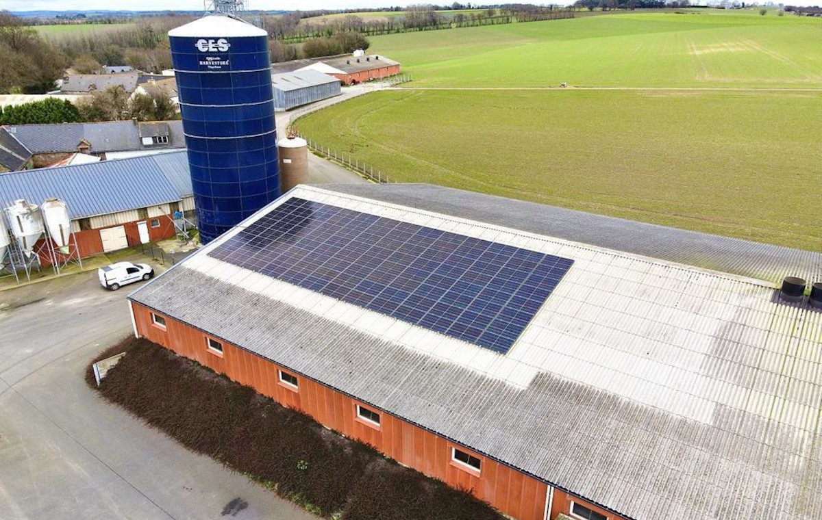 découvrez comment l'association de l'élevage et des solutions photovoltaïques révolutionne l'agriculture durable. optimisez vos ressources tout en contribuant à la protection de l'environnement grâce à des pratiques innovantes et écologiques.