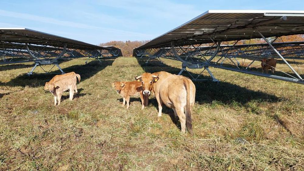 découvrez comment allier élevage et photovoltaïque pour une agriculture durable. optimisez vos revenus tout en préservant l'environnement grâce à l'énergie solaire au sein de vos exploitations agricoles.