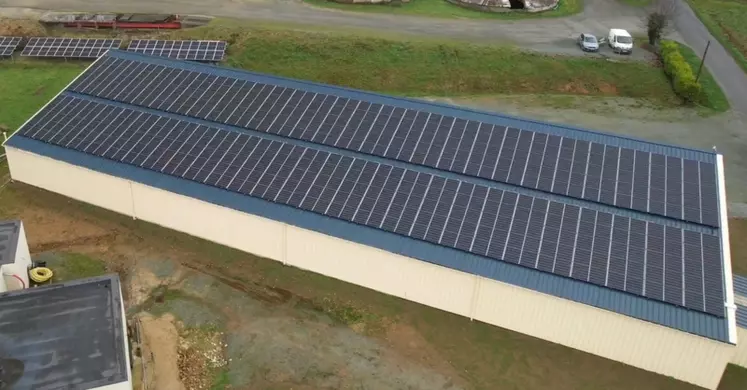 découvrez comment l'élevage et le photovoltaïque peuvent s'harmoniser pour promouvoir une agriculture durable. explorez les avantages de l'énergie solaire dans les exploitations agricoles et les synergies entre l'élevage et les technologies vertes.