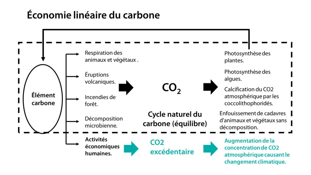 découvrez comment l'empreinte carbone et l'économie circulaire interagissent pour créer un avenir durable. apprenez les stratégies et innovations qui permettent de réduire les déchets et d'optimiser les ressources tout en préservant notre planète.