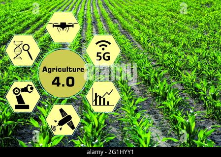 découvrez comment l'énergie renouvelable révolutionne le secteur agricole. explorez les solutions durables pour alimenter les exploitations, réduire les coûts et préserver l'environnement tout en améliorant la productivité des cultures.