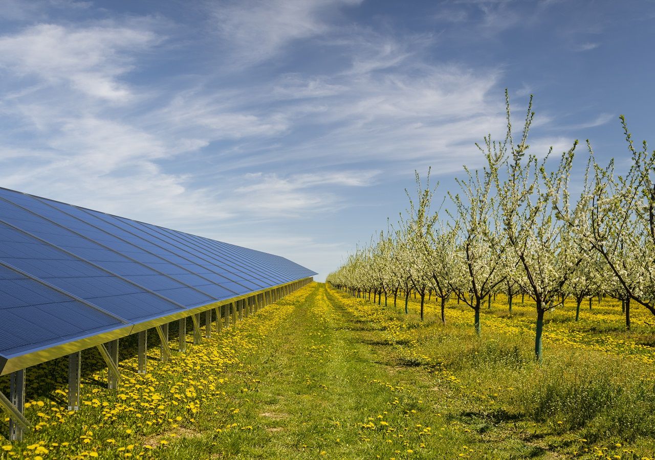 découvrez comment l'énergie solaire transforme l'agriculture moderne en offrant des solutions durables et rentables. exploitez le potentiel des panneaux solaires pour améliorer l'efficacité des cultures, réduire les coûts énergétiques et favoriser une agriculture respectueuse de l'environnement.