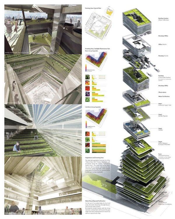 découvrez l'univers des fermes verticales urbaines, un concept innovant qui allie agriculture durable et vie citadine. apprenez comment ces espaces cultivés en hauteur transforment nos villes en oasis de verdure, réduisant l'empreinte carbone tout en fournissant des produits frais et locaux.