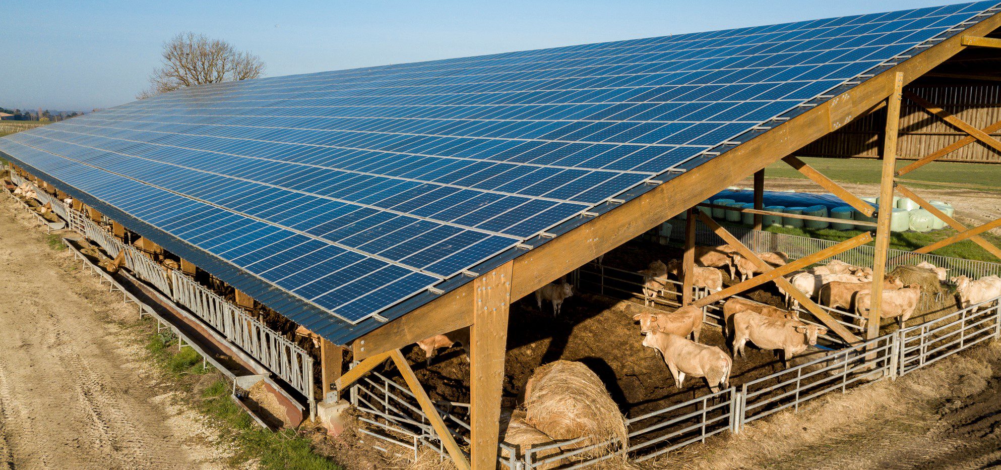découvrez les solutions de financement photovoltaïque spécialement conçues pour le secteur agricole. optimisez vos investissements tout en réduisant vos coûts énergétiques et en contribuant à une agriculture durable grâce à l'énergie solaire.