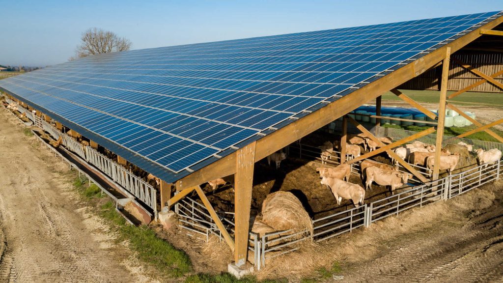 découvrez comment un hangar agricole photovoltaïque peut transformer votre exploitation en générant de l'énergie renouvelable tout en offrant un espace de stockage pratique. explorez les avantages écologiques et économiques de cette solution innovante pour l'agriculture moderne.