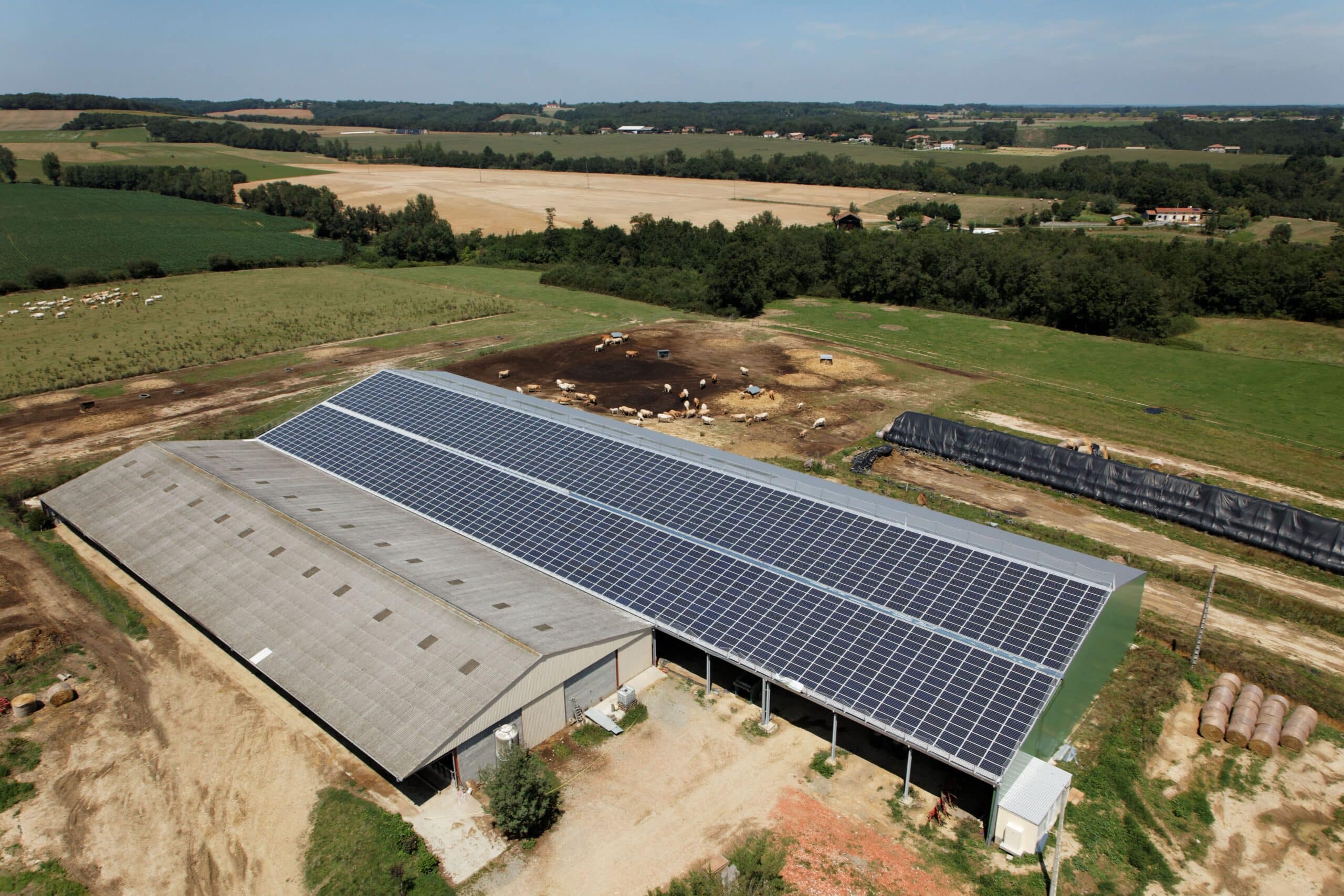 découvrez comment les hangars agricoles photovoltaïques transforment l'économie locale en optimisant la production d'énergie renouvelable, réduisant les coûts d'exploitation et favorisant un développement durable dans les zones rurales.