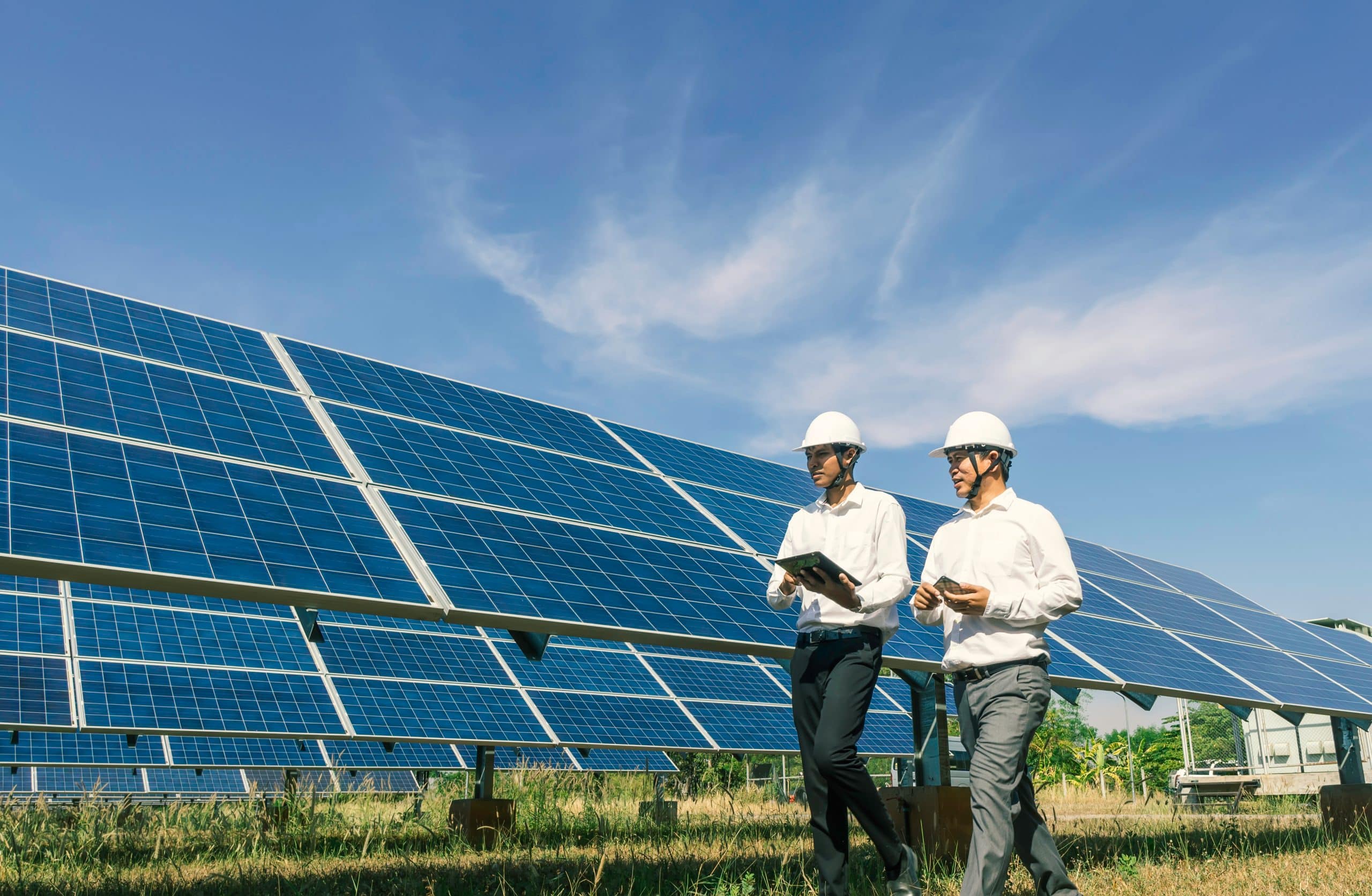 découvrez comment les hangars photovoltaïques peuvent promouvoir la biodiversité, en alliant production d'énergie renouvelable et préservation des écosystèmes. un projet innovant au service de l'environnement et du développement durable.