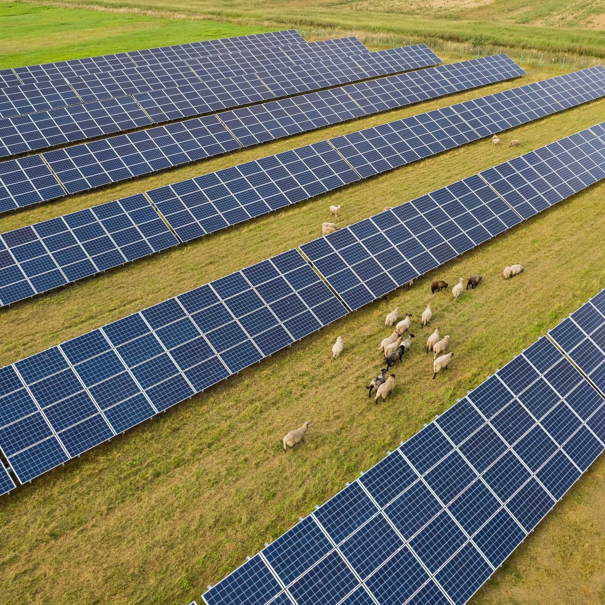 découvrez comment les hangars photovoltaïques ruraux transforment l'agriculture durable en offrant une solution énergétique innovante et écologique. optimisez votre production tout en réduisant votre empreinte carbone.