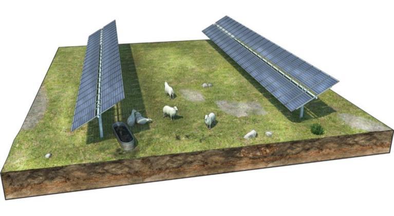 découvrez comment les ong s'engagent dans l'agriculture photovoltaïque, alliant développement durable et innovation. apprenez comment ces initiatives contribuent à l'énergie renouvelable tout en soutenant les agriculteurs.