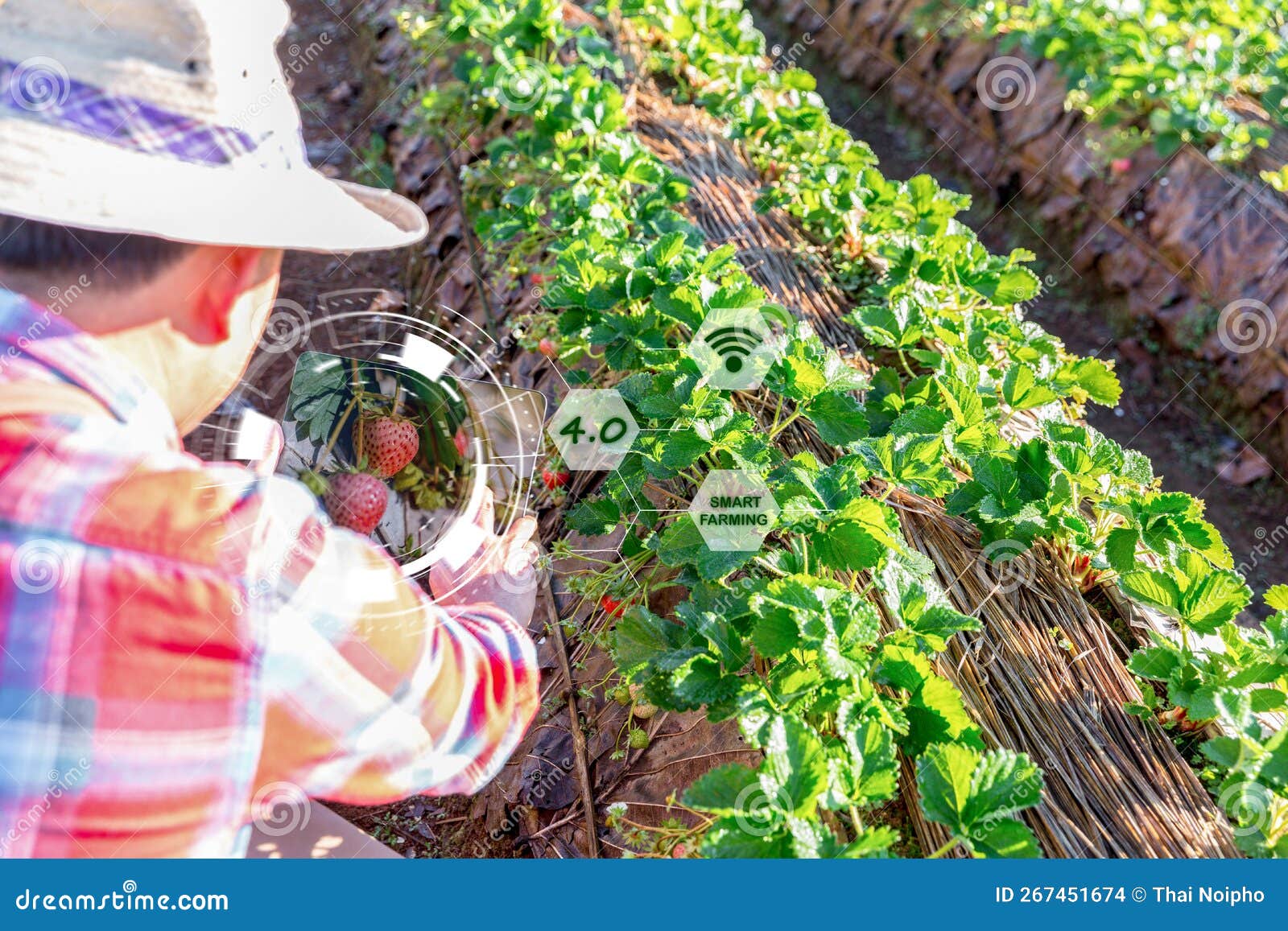 découvrez les outils modernes qui révolutionnent l'agriculture écologique, alliant technologie durable et pratiques responsables pour une production alimentaire respectueuse de l'environnement.