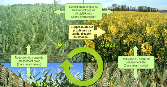 découvrez les outils modernes qui révolutionnent l'agriculture écologique. optimisez vos pratiques agricoles tout en respectant l'environnement grâce à des technologies innovantes et durables.