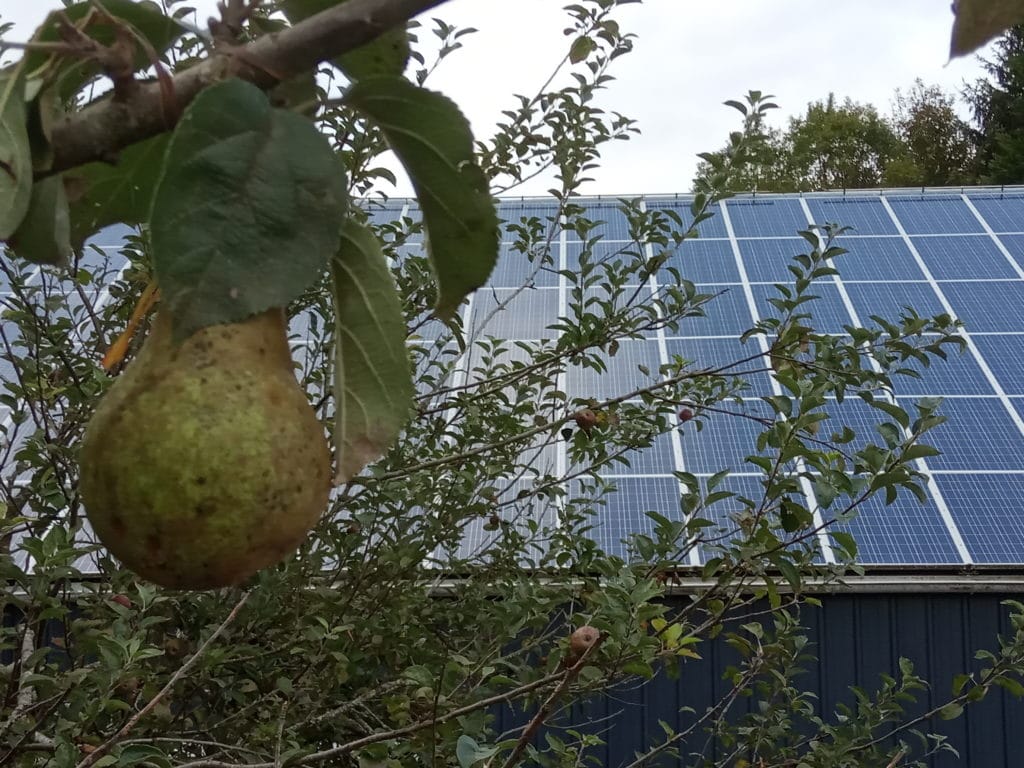 découvrez comment les partenariats entre agriculteurs et producteurs d'énergie photovoltaïque peuvent transformer les exploitations agricoles, générer des revenus supplémentaires et promouvoir une agriculture durable. explorez les opportunités d'investissement et les avantages écologiques.