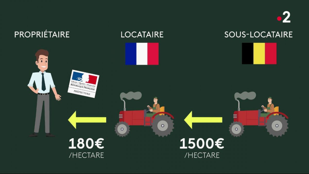 découvrez les prix de location des terres agricoles dans votre région. comparez les offres, trouvez des conseils utiles et maximisez votre investissement agricole.