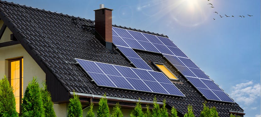 découvrez les prix des panneaux solaires pour économiser sur vos factures d'énergie tout en contribuant à la protection de l'environnement. comparez différents modèles et trouvez la solution adaptée à vos besoins.