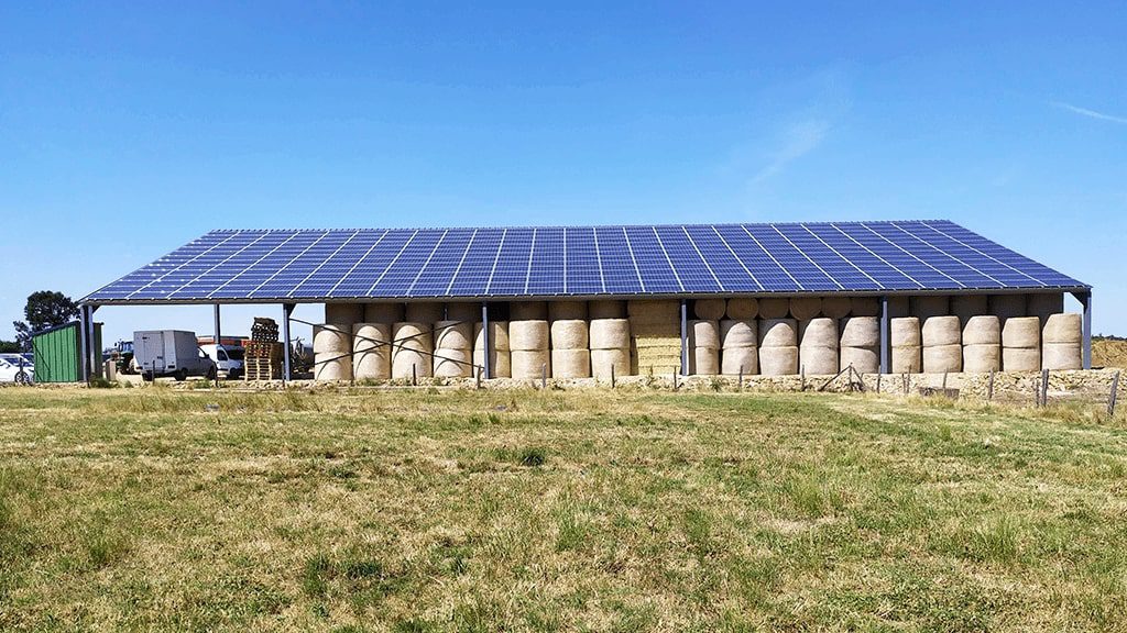 découvrez les retours d'expérience des agriculteurs sur l'installation de hangars photovoltaïques. apprenez comment ces solutions innovantes transforment leurs exploitations en générant des économies d'énergie et en améliorant la rentabilité.
