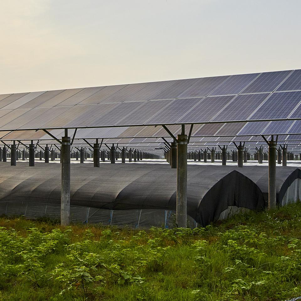 découvrez des initiatives de sensibilisation pour les agriculteurs sur l'utilisation de l'énergie photovoltaïque. apprenez comment cette technologie peut améliorer la durabilité de votre exploitation tout en générant des revenus additionnels grâce à une production d'énergie renouvelable.