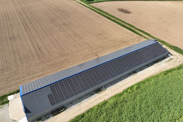 découvrez comment les exploitations agricoles intègrent l'énergie solaire pour optimiser leur production et réduire leur empreinte carbone. apprenez-en plus sur les avantages de l'énergie renouvelable dans le secteur agricole.
