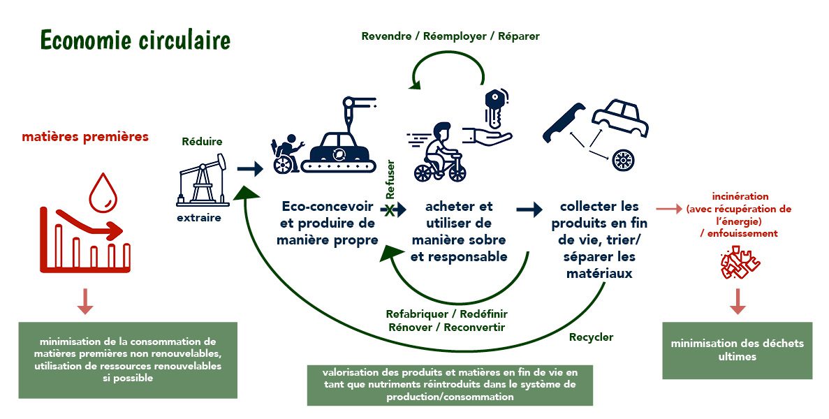 découvrez le rôle essentiel du soutien législatif pour promouvoir une économie circulaire durable. apprenez comment les politiques publiques et les réglementations soutiennent les initiatives écologiques et incitent à la réduction des déchets, la réutilisation des ressources et le développement de modèles économiques respectueux de l'environnement.