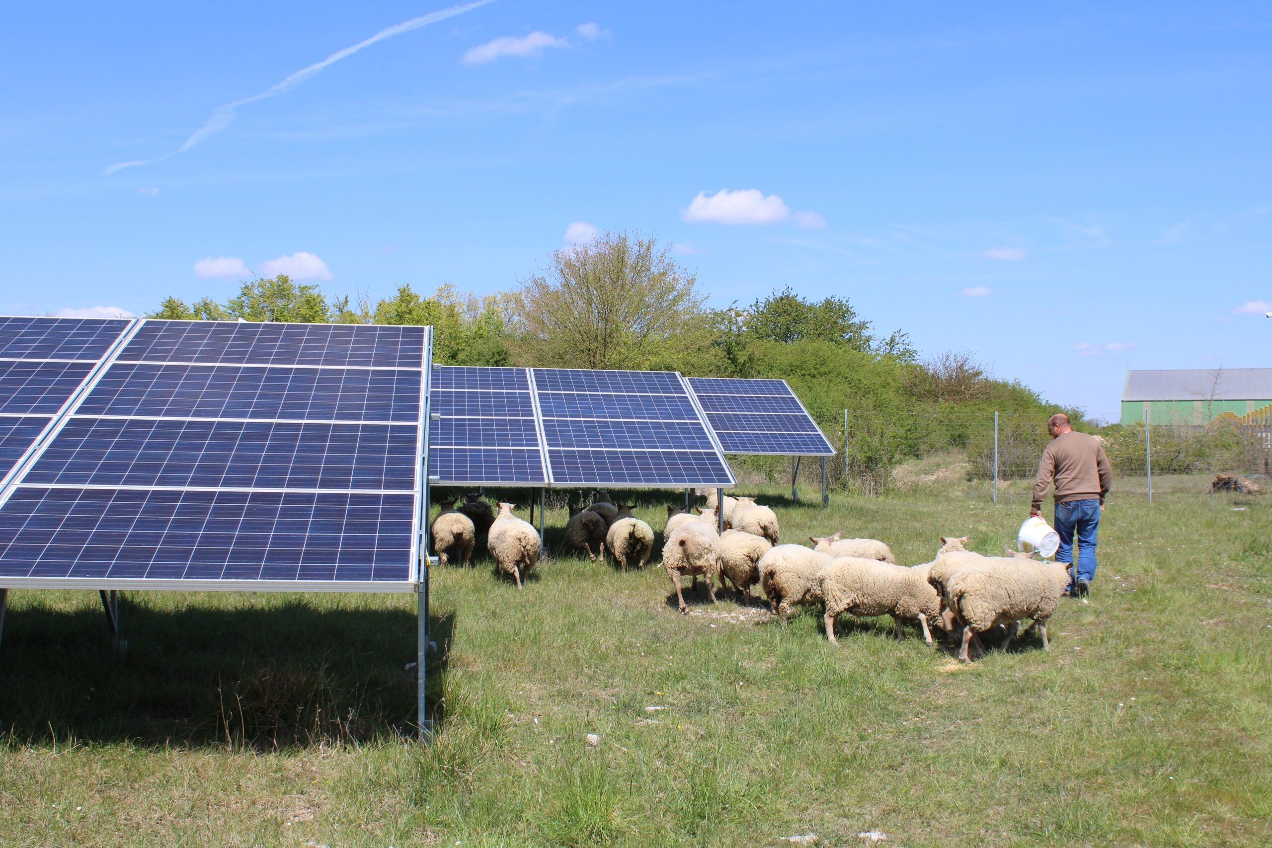 découvrez comment les synergies entre l'agronomie et le photovoltaïque ouvrent de nouvelles perspectives pour une agriculture durable et innovante. explorez les avantages de l'intégration de l'énergie solaire dans les pratiques agricoles pour optimiser les rendements tout en préservant l'environnement.
