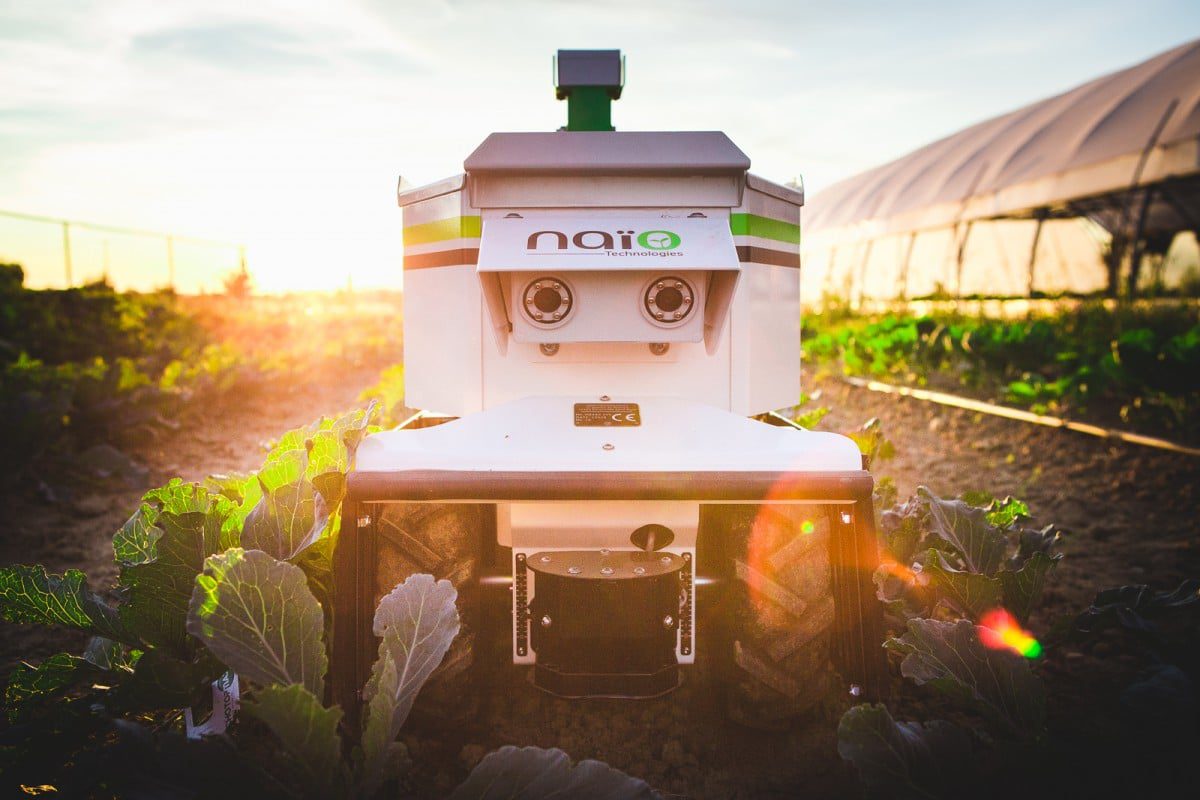 découvrez comment les avancées technologiques transforment le secteur agricole, optimisant la production, améliorant la durabilité et favorisant l'innovation. explorez les technologies de précision, l'agriculture connectée et les solutions durables qui façonnent l'avenir de l'agriculture.