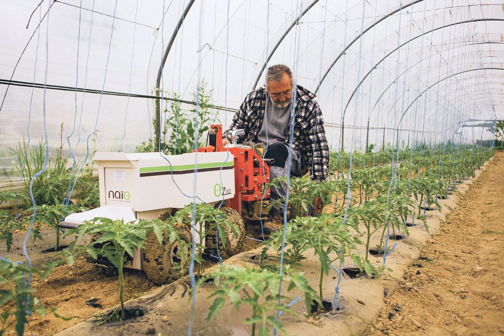 découvrez comment les technologies innovantes transforment le secteur de l'agriculture, améliorant la production, la durabilité et l'efficacité. explorez les avancées numériques, les solutions agro-tech et les pratiques agricoles intelligentes qui façonnent l'avenir de l'agriculture.