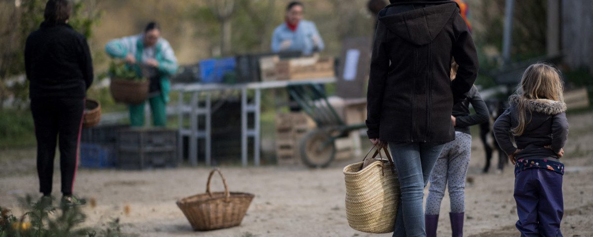 découvrez comment intégrer la durabilité dans votre quotidien avec des conseils pratiques et des actions concrètes pour un avenir respectueux de l'environnement. apprenez à réduire votre empreinte écologique et à adopter un mode de vie plus responsable.