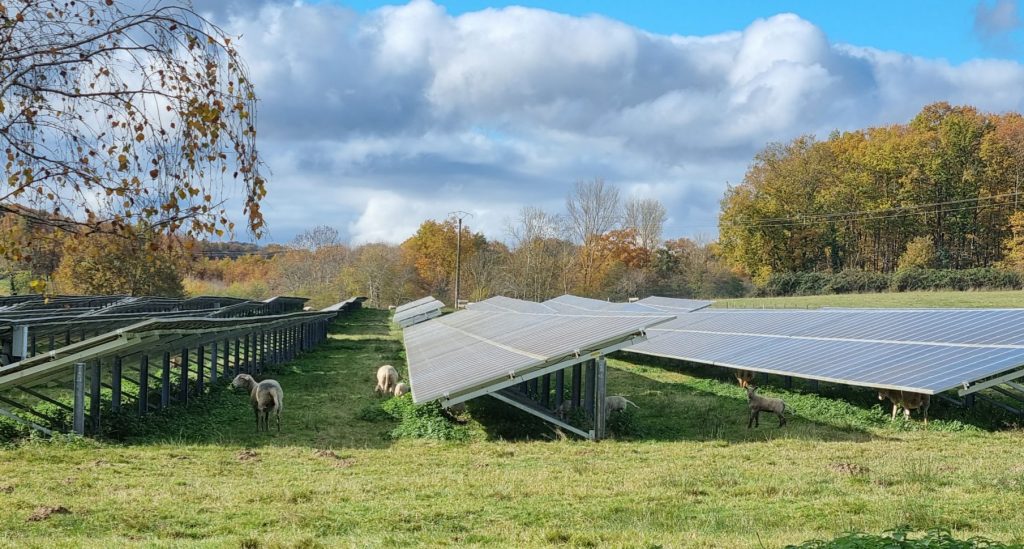 découvrez notre comparaison détaillée entre vivint et sunrun dans le domaine du photovoltaïque agricole. analysez les avantages, les offres et les innovations de ces deux leaders pour maximiser votre production d'énergie solaire sur vos exploitations agricoles.
