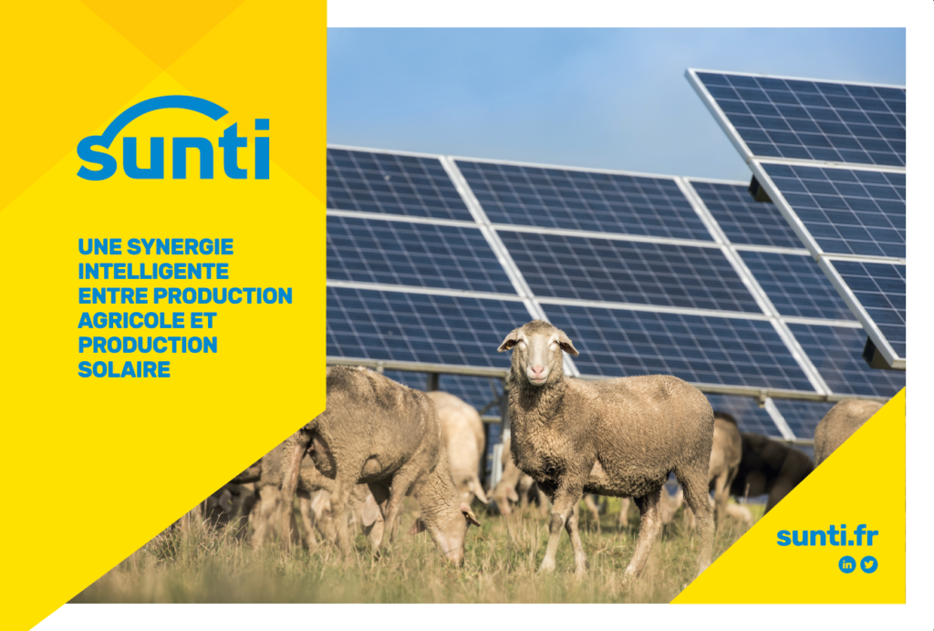 découvrez notre comparaison détaillée entre vivint et sunrun, deux leaders du secteur photovoltaïque agricole. analysez les avantages, les inconvénients et les solutions proposées pour maximiser votre production d'énergie solaire dans le cadre de l'agriculture durable.