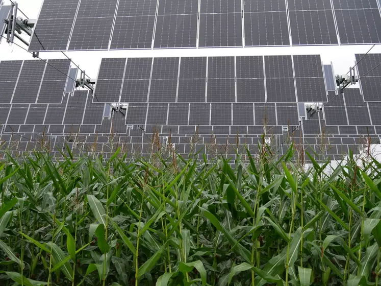 découvrez comment l'agriculture et le photovoltaïque se rencontrent pour favoriser une production durable. explorez les synergies entre culture et énergie solaire, les avantages environnementaux et économiques, et les innovations qui transforment le paysage agricole.
