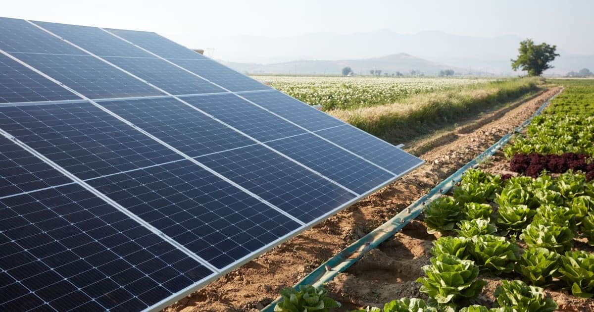 découvrez les avantages des panneaux photovoltaïques pour l'agriculture : réduction des coûts énergétiques, valorisation des terres agricoles, promotion d'une agriculture durable et contribution à la transition énergétique. transformez votre exploitation grâce à l'énergie solaire.