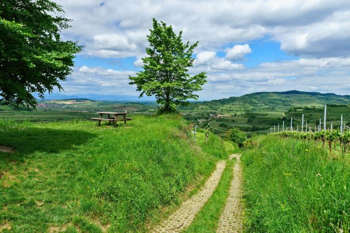 découvrez les meilleures pratiques pour la construction sur un terrain agricole, incluant les réglementations, les techniques adaptées et les conseils pour maximiser votre espace tout en préservant l'environnement.