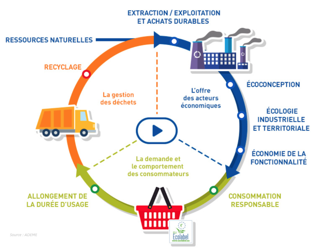 découvrez comment l'économie circulaire transforme les pratiques éducatives à l'école, favorisant la durabilité et la responsabilité environnementale chez les élèves. apprenez des méthodes innovantes pour intégrer ces concepts dans les programmes scolaires et inspirez la nouvelle génération à adopter un mode de vie respectueux de l'environnement.