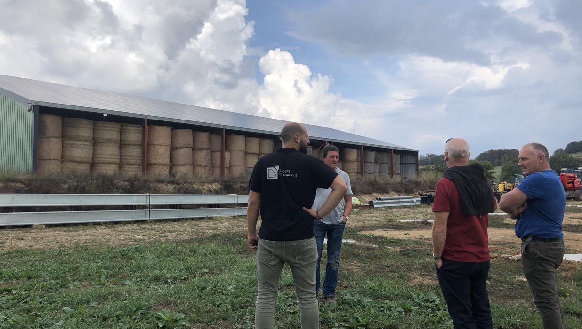 découvrez les options de financements disponibles pour la construction de hangars photovoltaïques. optimisez votre investissement tout en soutenant la transition énergétique grâce à des solutions adaptées à vos besoins.