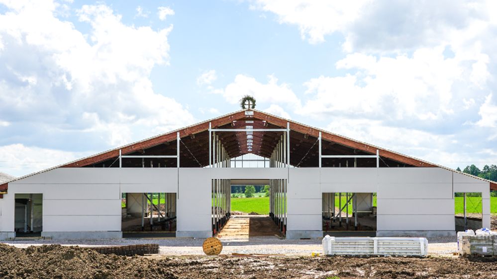 découvrez les avantages des hangars kits en pologne pour vos équipements agricoles. optez pour une solution pratique et économique pour protéger vos machines et optimiser votre espace de travail.