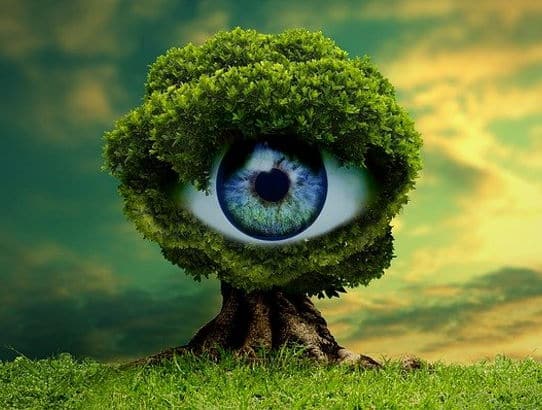 découvrez les meilleures stratégies de marketing pour promouvoir vos produits écologiques. apprenez à attirer des consommateurs soucieux de l'environnement et à bâtir une marque durable grâce à des pratiques innovantes et responsables.